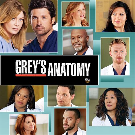 Grey's anatomy season nine. Things To Know About Grey's anatomy season nine. 
